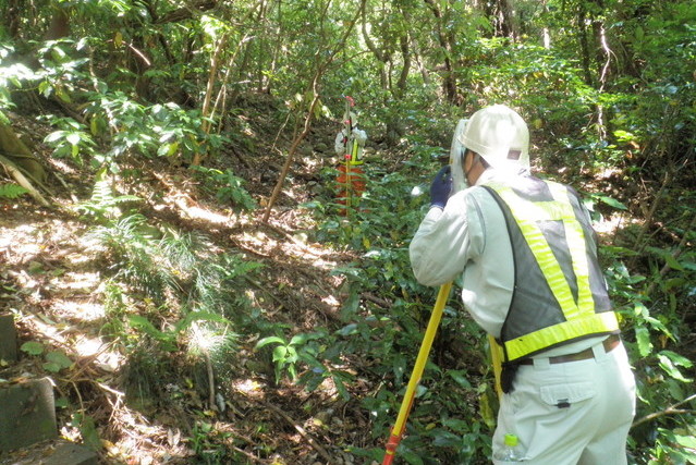 surveying03.jpg